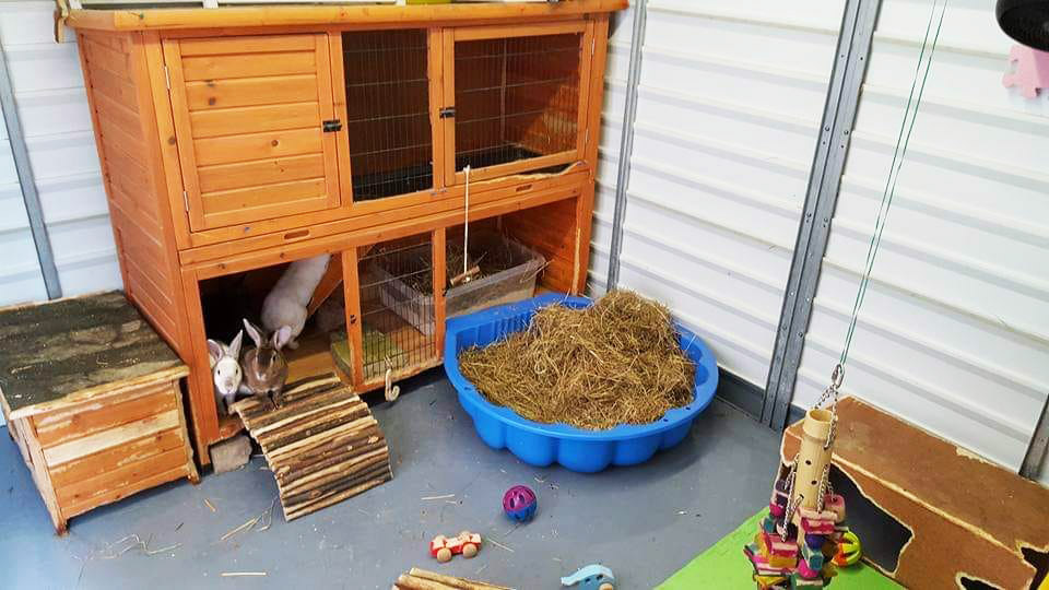 An example of large Rabbit Housing