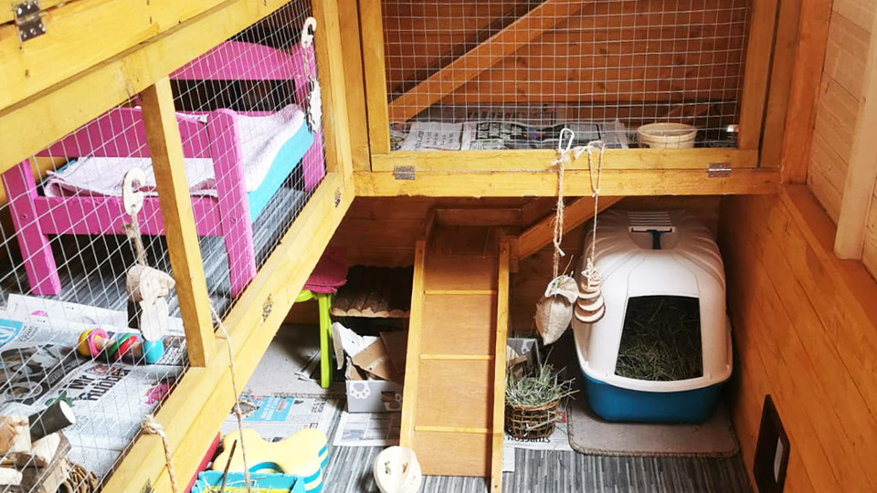 An example of large Rabbit Housing